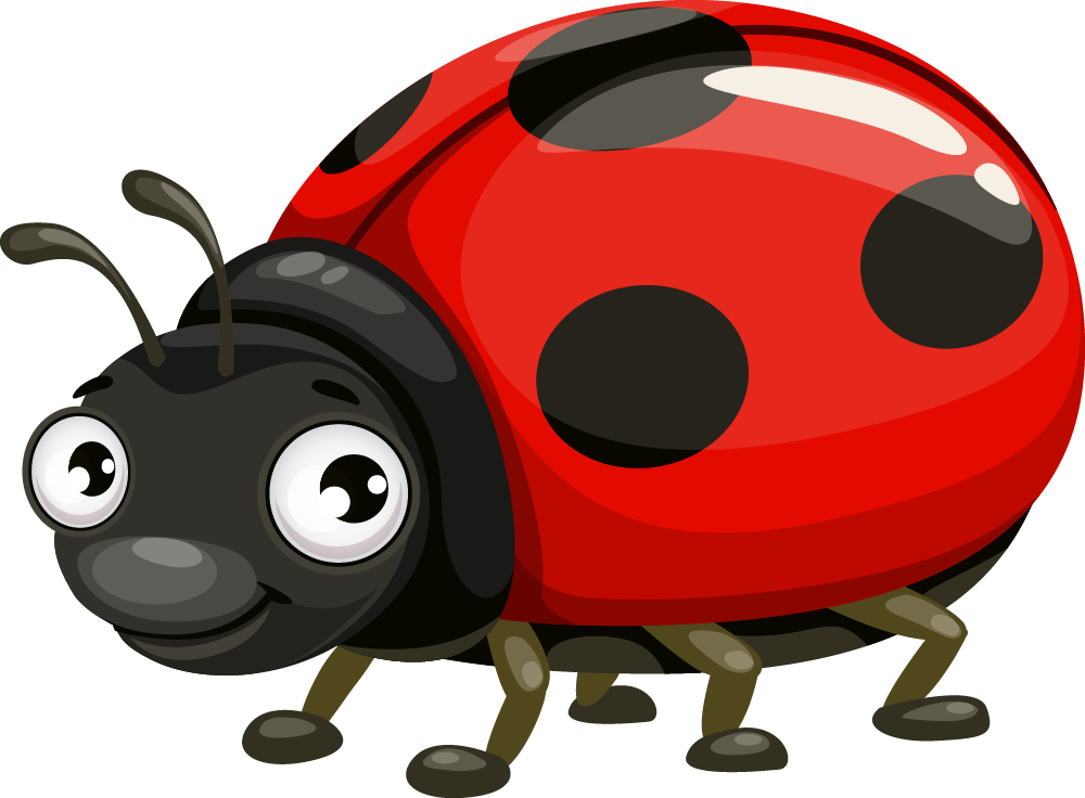 ladybird ladybird