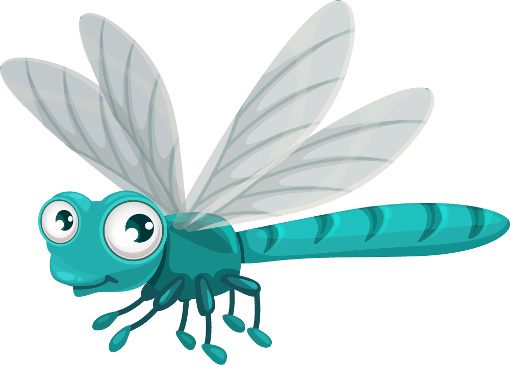 dragonfly dragonfly